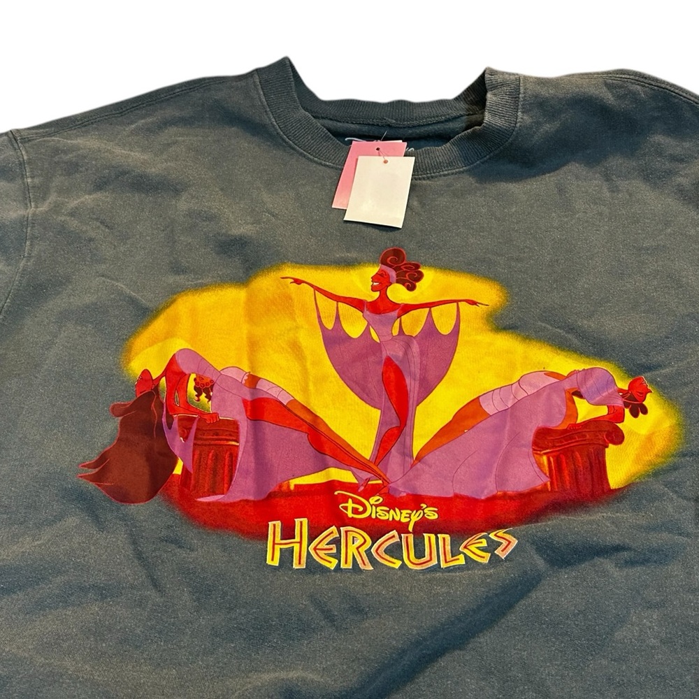 Disney Hercules sweatshirt NWT so SOFT size medium‎